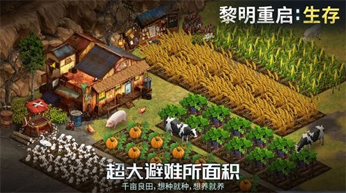 黎明重启