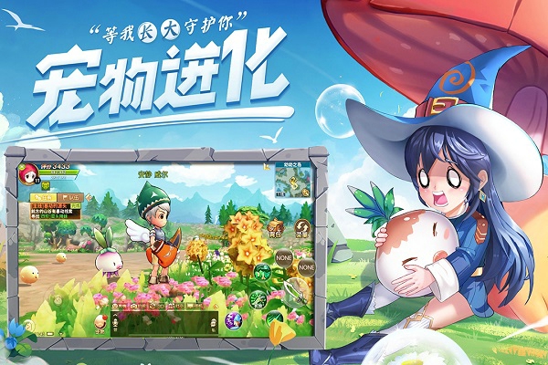 赛尔特大陆
