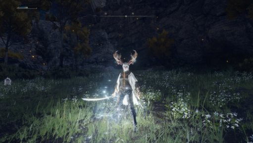 艾尔登法环难度轻改MOD