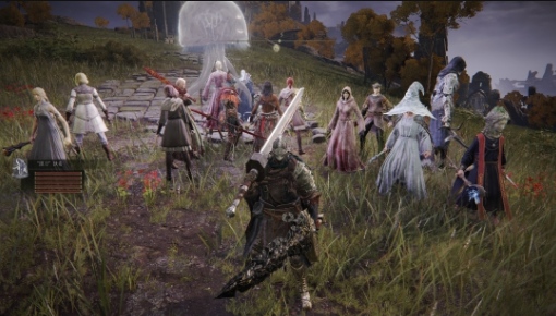 艾尔登法环团战骨灰MOD