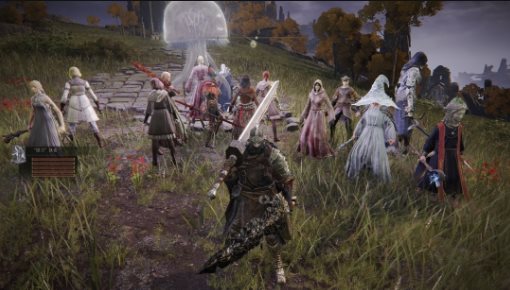 艾尔登法环团战骨灰MOD