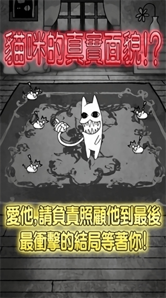 世界奇喵物语