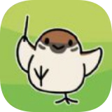 小鸟音乐会