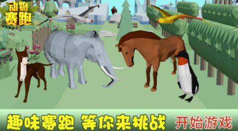 动物赛跑