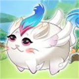 开心猫咖