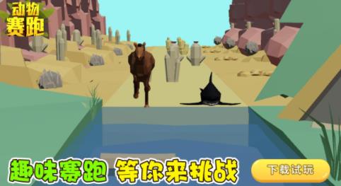 动物赛跑