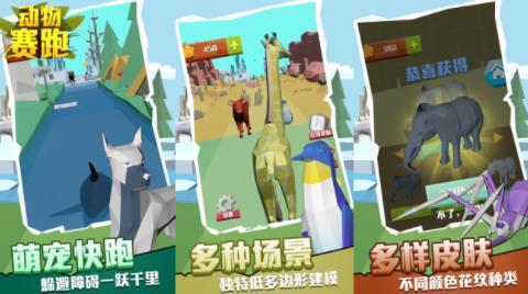 动物赛跑