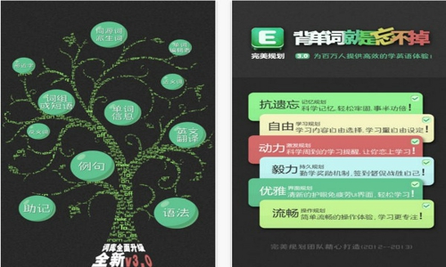 完美规划背单词