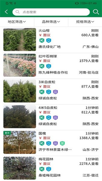 中州花木网