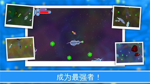 孢子进化