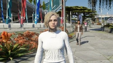 星空双倍经验mod
