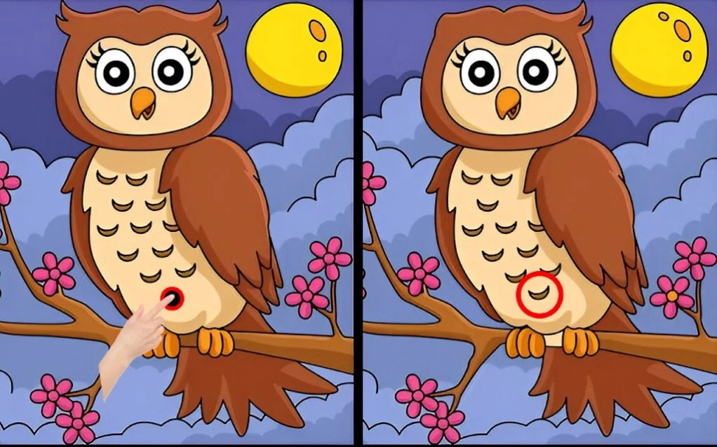 差异寻找并发现（Differences find and spot them）