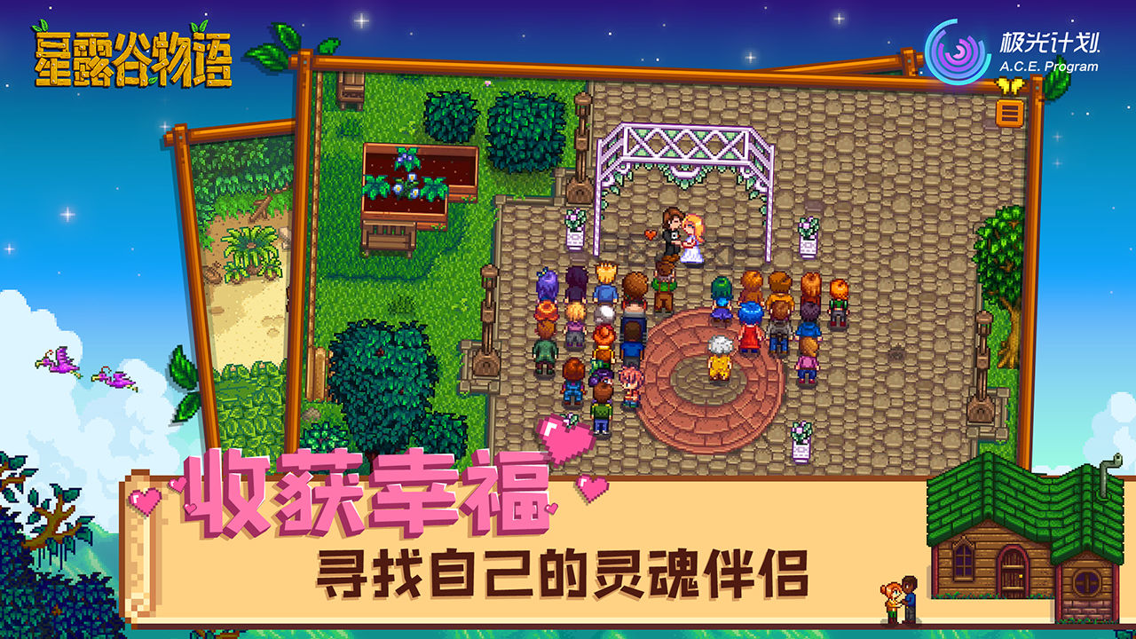 星露谷物语1.6美化版（Stardew Valley）