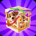 绳索拼图箱子3D(Rescue Knots 3D)