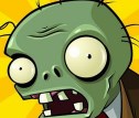 pvz studio 2022
