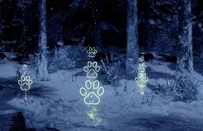 怪物猎人世界3D掉落物显示
