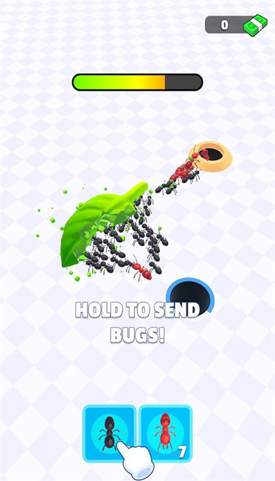 昆虫洞穴（Bug Hole）