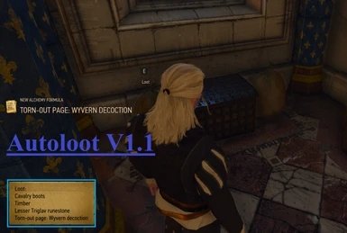 巫师3自动拾取mod