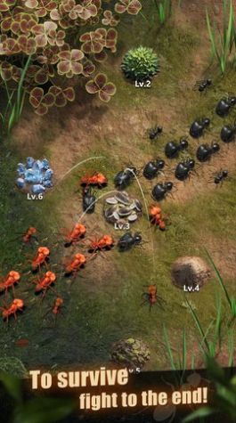 行星蚂蚁（The Ants）