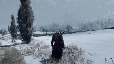 巫师3血与酒mod
