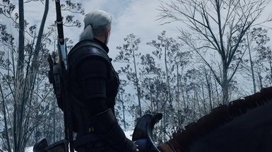 巫师3血与酒mod
