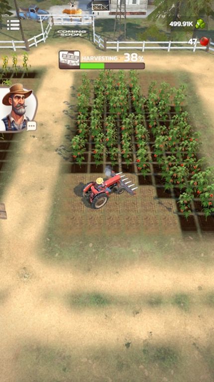 强大的农民（Pocket Fields: Mighty Farmer）