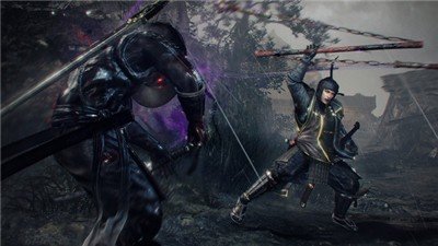 仁王2四周目初始存档