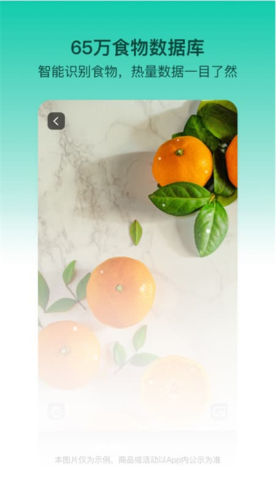 热量减肥法app