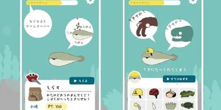 虚无鱼BasPi