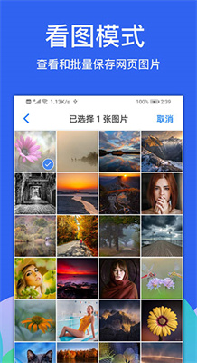 alook手表版