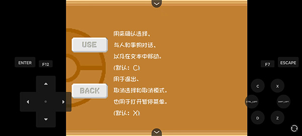 口袋妖怪燃之智