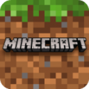 minecraft国际版联机版