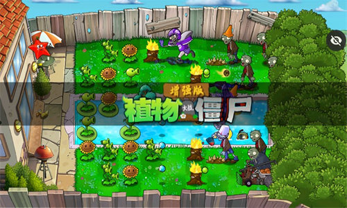 植物大战僵尸增强版1.4