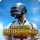 pubg国际服测试服(BETA PUBG MOBILE)