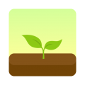 forest(Forest 专注森林)