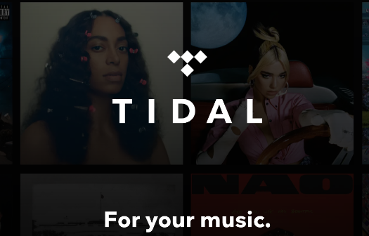 tidal音乐app中文版