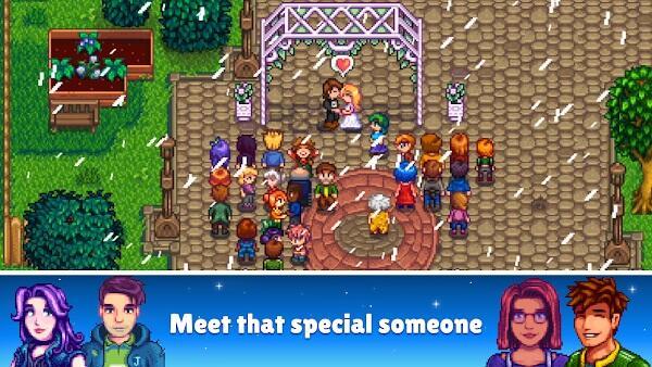 星露谷物语1.6.9版本(Stardew Valley)