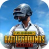 绝地求生凛冬极境(PUBG MOBILE)