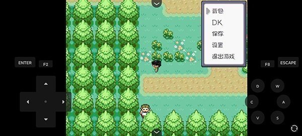 口袋妖怪燃之智3.4汉化版