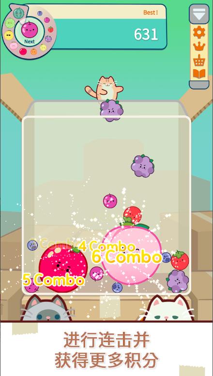 猫和西瓜(Cat & Watermelon)