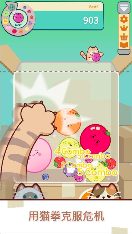 猫和西瓜(Cat & Watermelon)