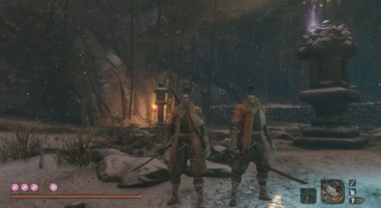 只狼影逝二度仿身泪滴mod