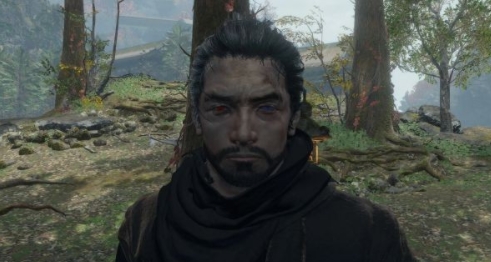 只狼影逝二度为狼戴上眼镜MOD