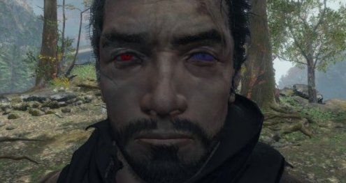 只狼影逝二度为狼戴上眼镜MOD