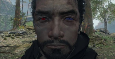 只狼影逝二度为狼戴上眼镜MOD