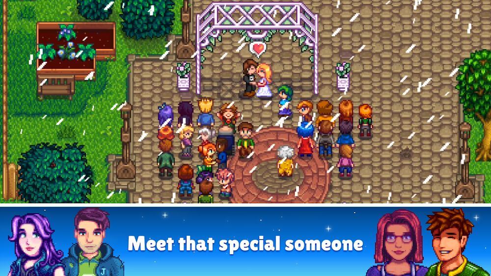 星露谷物语1.6手机版(Stardew Valley)