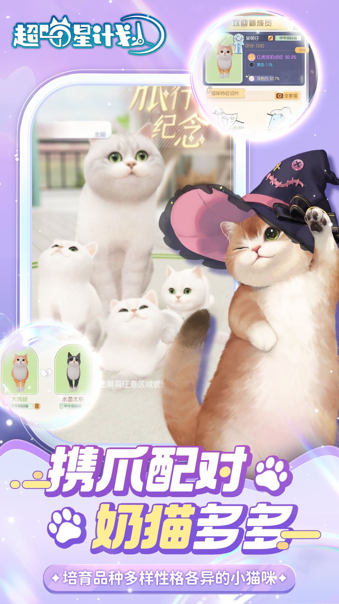 超喵星计划测试服