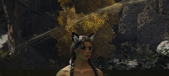 艾尔登法环无裙平民鞋MOD