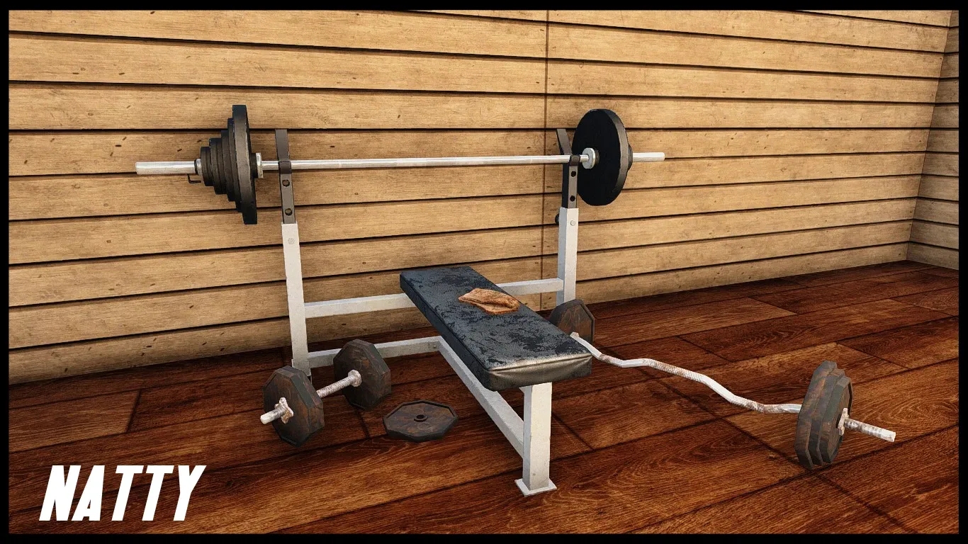 辐射4沉浸式举重台MOD