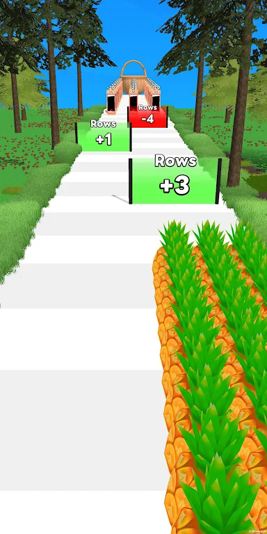 水果赛道冲刺(Fruit Lanes)